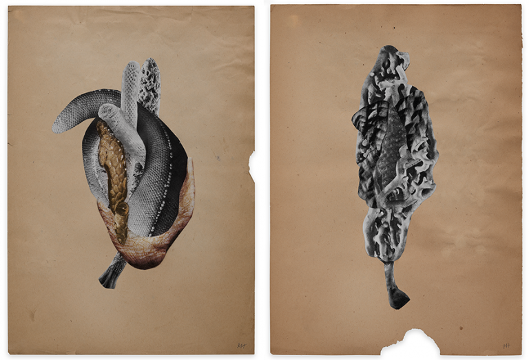 NONDUALITY - EXHIBITION WITH FORTUNATA OBRĄPALSKA, SOPOT