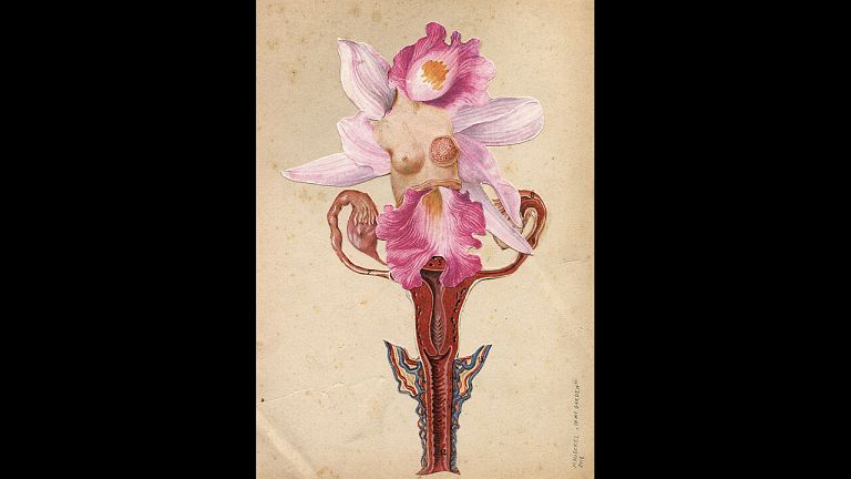 KOMPLETA (2025) - DOCUMENTARY FILM