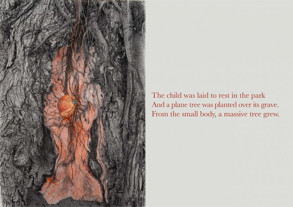 POTENTIALLY REVERSIBLE / POTENCJALNIE ODWRACALNE